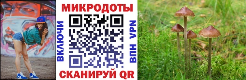 omg ТОР где найти Анжеро-Судженск Галлюциногенные грибы MAGIC MUSHROOMS